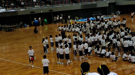 駿台学園 スポーツ推薦：なぜ彼らは空を飛べないのか？